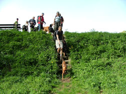 Na de dijk terug naar de bossen.