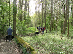 Nog meer dan voldoende modder in deze bossen.