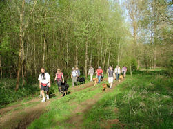 Het lijkt wel een militaire colonne.