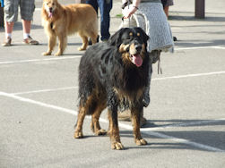 Boss was helemaal in zijn nopjes!!!