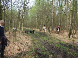 De kortere wandeling had nog wat modder in petto.