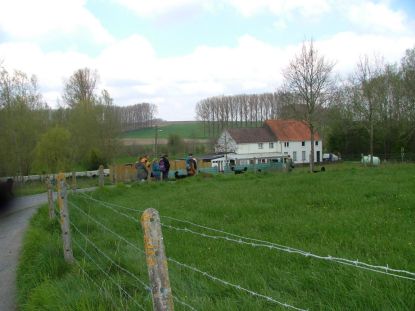 Een lange sliert Hovawartjes.