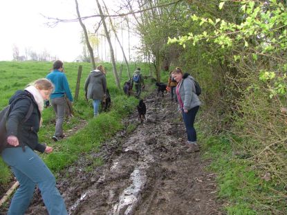 Hoe het best de modder ontwijken? Niet dus!