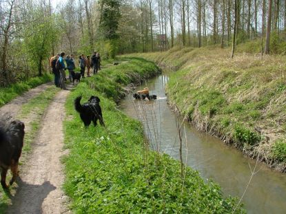 Even de kans om te plonsen!