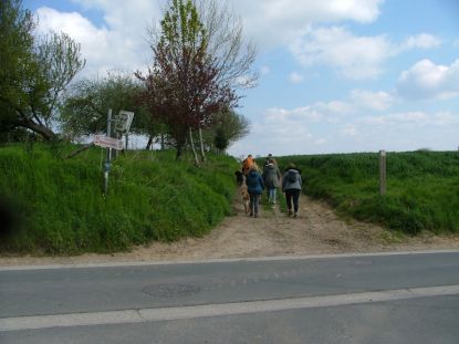 De ronde van Vlaanderen: Den Berendries over.