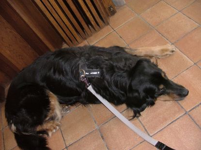 Moe maar zeer tevreden, klaar om naar huis te bollen!