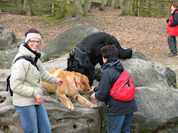 Hoe laat je twee Hovawartjes netje posereen??!!