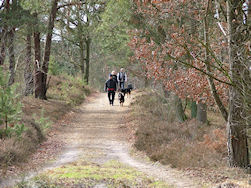 We waren ze bijna kwijt...