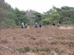 Op de purperen Heide...