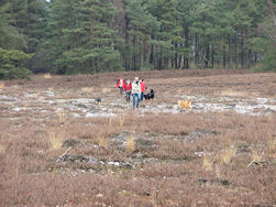Ook de dames waren er weer na hun plaspauze...