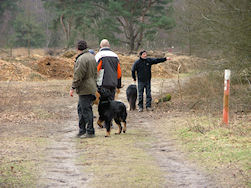Weet er nog iemand de weg??