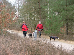 De vreemde hondjes in de bijt...