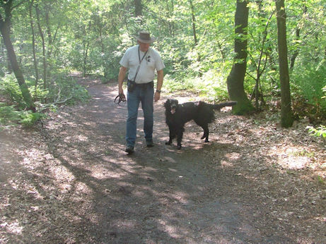 Kroosen, vrij, in de bossen!