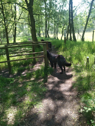 Deze poortjes zijn tegen de koetjes. Geen probleem voor ons!