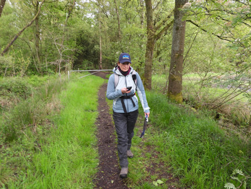 Ingrid vindt de route op haar GPS niet.