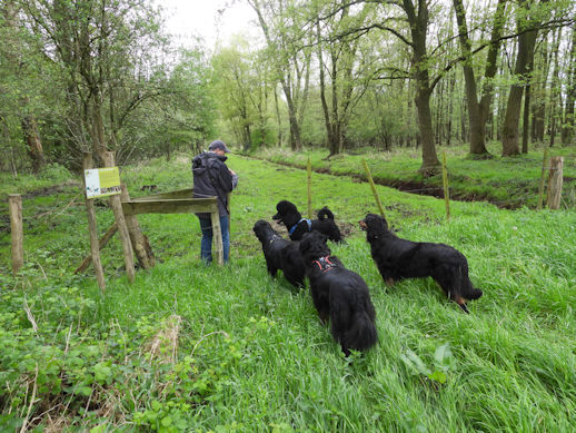Deze uitbreiding hadden we beter overgeslagen!
