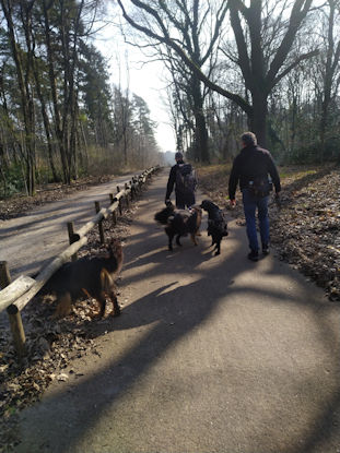 Aan de wandel...