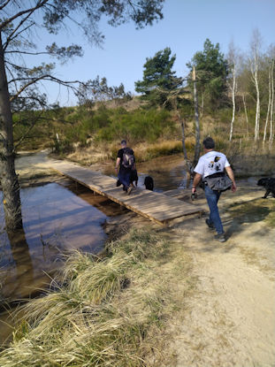 Een brug te ver?? Niet voor Hovawartinfo!!