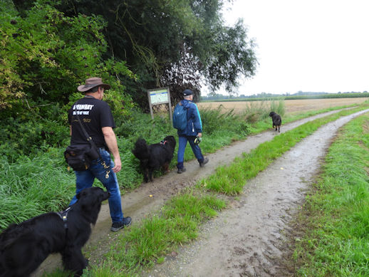 Asvalt gelukkig afgewisseld met modder.