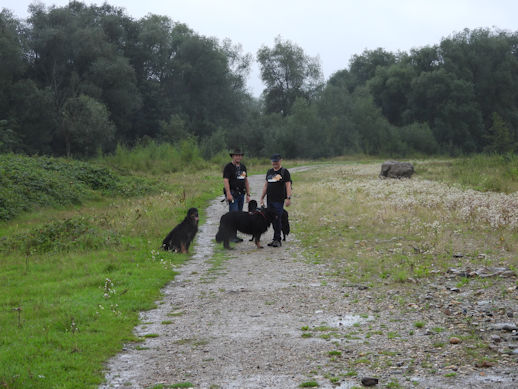 Hovawartjes on tour...