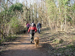 Voldaan terug op stap...