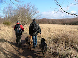 Kijk... variatie troef...