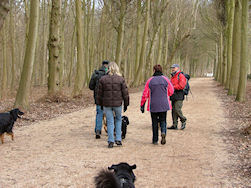 Deze dreef voert ons weg van het kasteel...