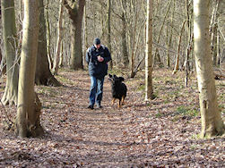 Finn, een en al aandacht voor... de boterham.