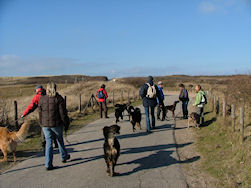 Terug naar het strand...
