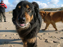 Baaaas!!! Het was weer leuk h�??!!