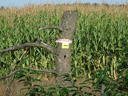 Duidelijke aanwijzingen... en toch...