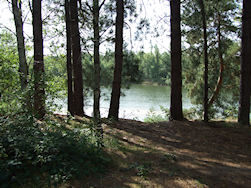 Een eerste hondenzwembad...