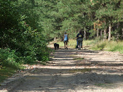 De bejaarde (honden) groep...