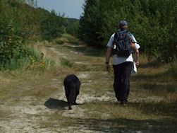 Deze weg hadden we dus niet verder moeten volgen.