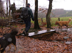Regelmatig een glad bruggetje.