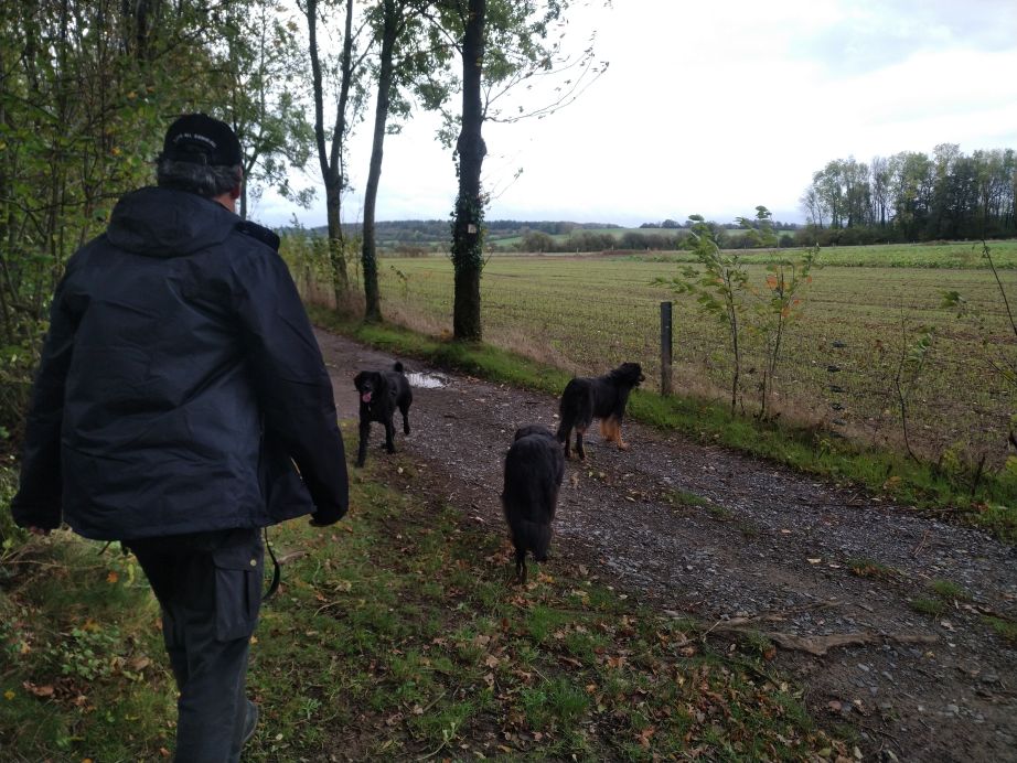 Na het bos de open vlakte.