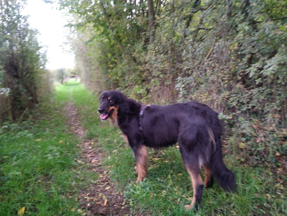 B'Elanna denkt dat het langs hier is... Ze heeft gelijk!