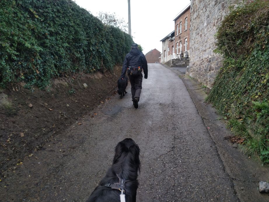 Een van de weinige stukjes asfalt.