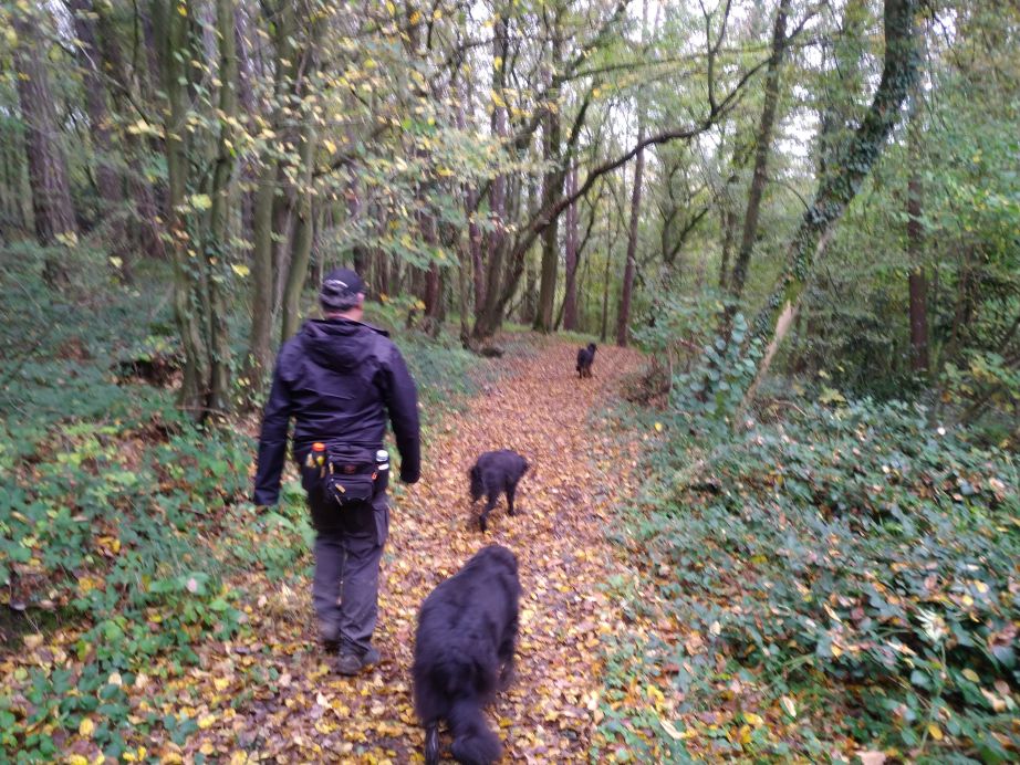 De laatste afdaling richting Hamoir.