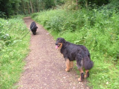 Moet Aiko nog even aan de leiband??!!