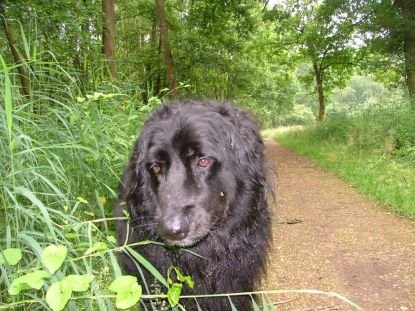 Aiko in dromeland...