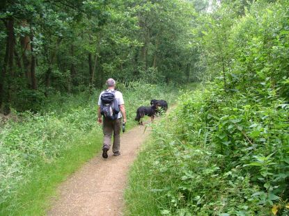 Beide Hovietjes genieten van hun vrijheid...