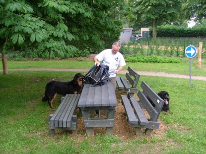 Even de hondjes te drinken geven...