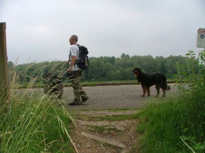 Uit het bos langs de watersportbaan.