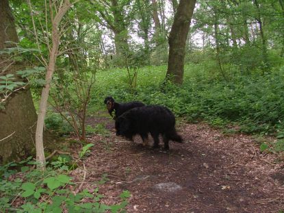 Genieten van elkaars gezelschap.