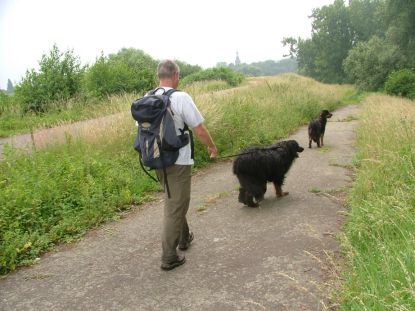 Langs de oevers van de Ruppel...