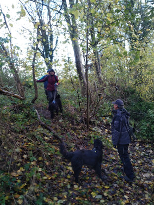 Soms wat obstakels bedwingen.