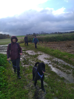 Algauw vergezelde de modder ons.