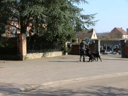 Ronald moest vroeger vertrekken om op tijd terug te zijn!