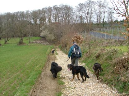 Op naar de wijnvelden, de hoogte in...